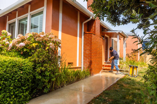 Best Pressure Washing Company Near Me  in Wausau, WI